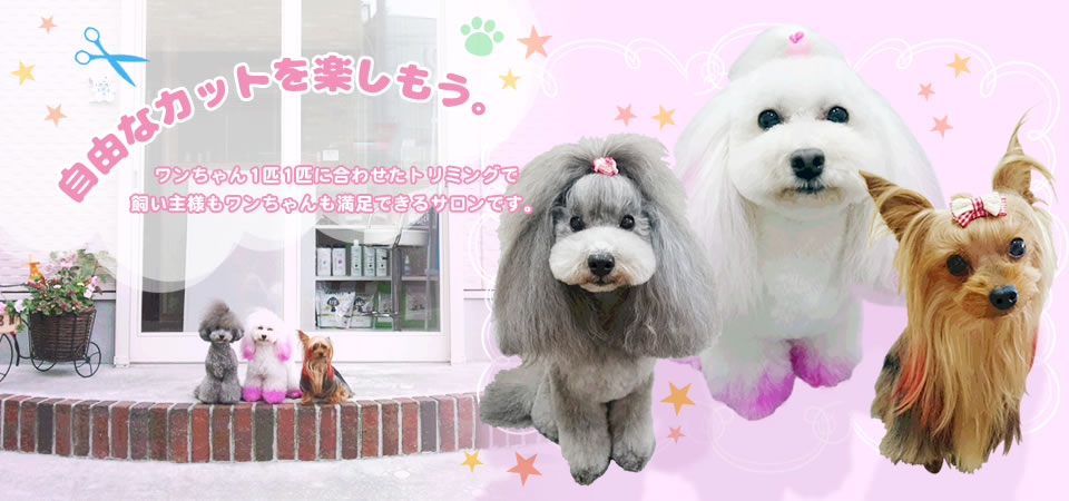 Pet Salon MocoMoco